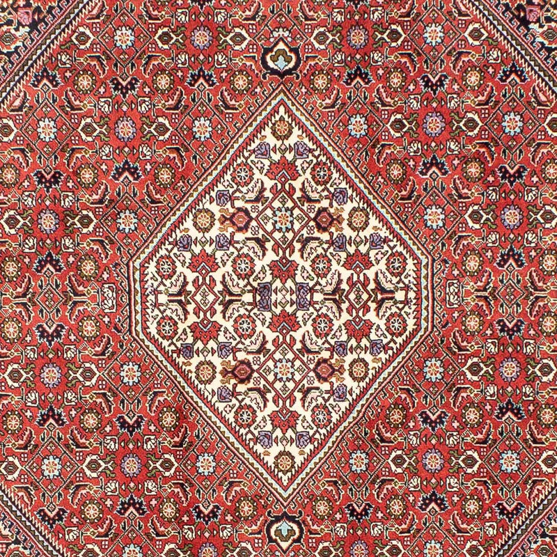Perserteppich - Bidjar 240 x 173 cm