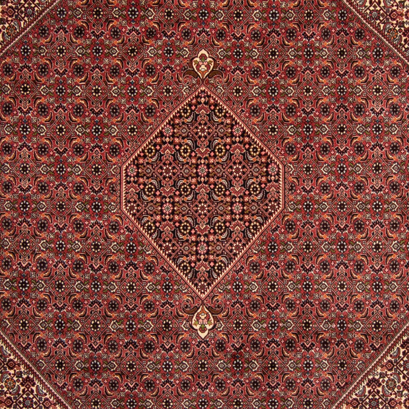 Perserteppich - Bidjar 338 x 248 cm