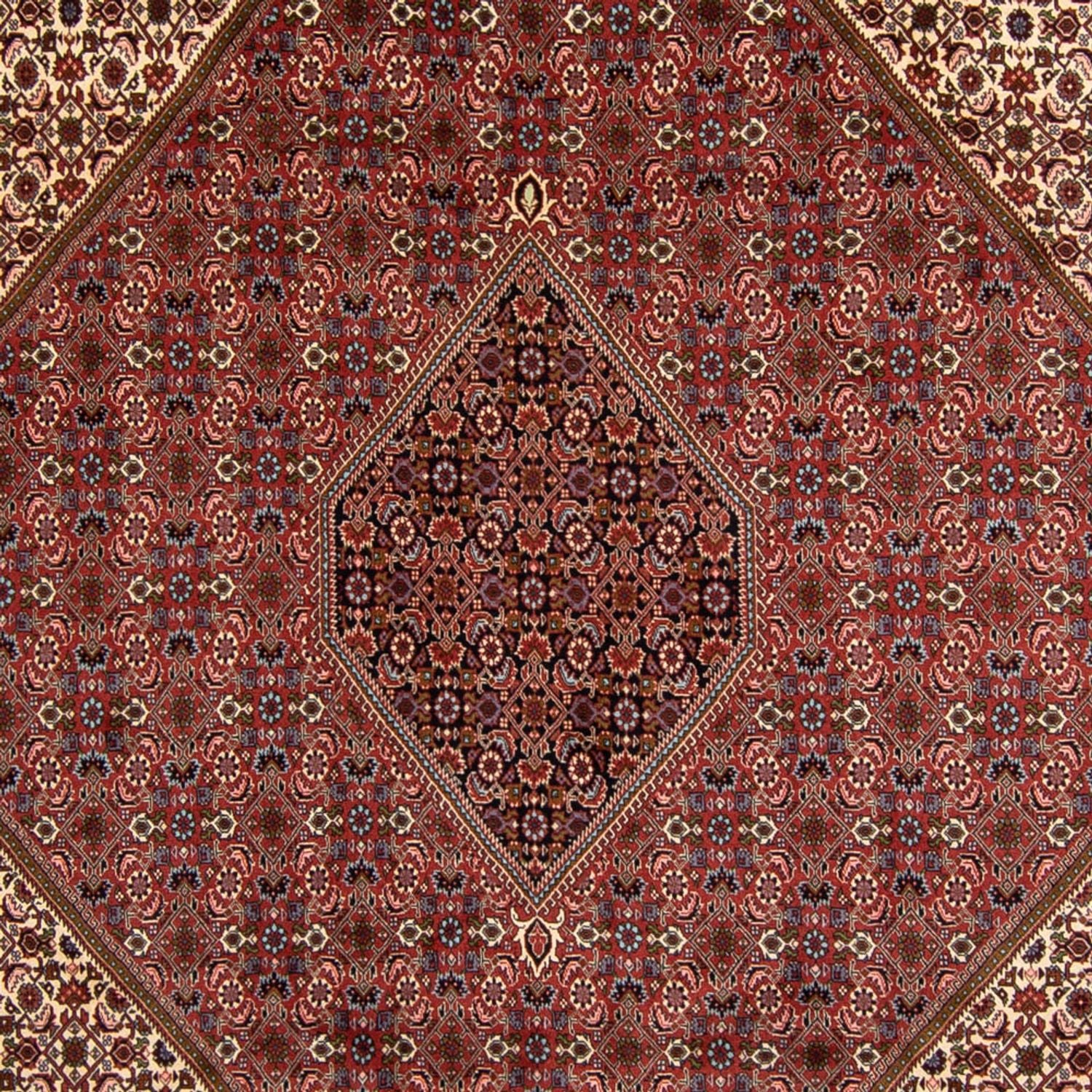 Perserteppich - Bidjar 340 x 252 cm