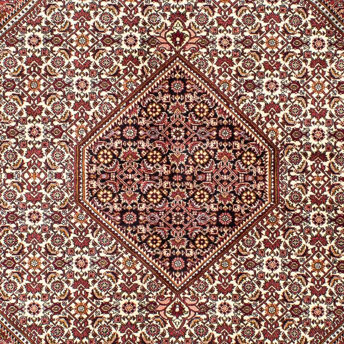 Perserteppich - Bidjar 240 x 170 cm