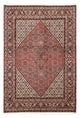 Bidjar Teppich 251x174cm - Perserteppich