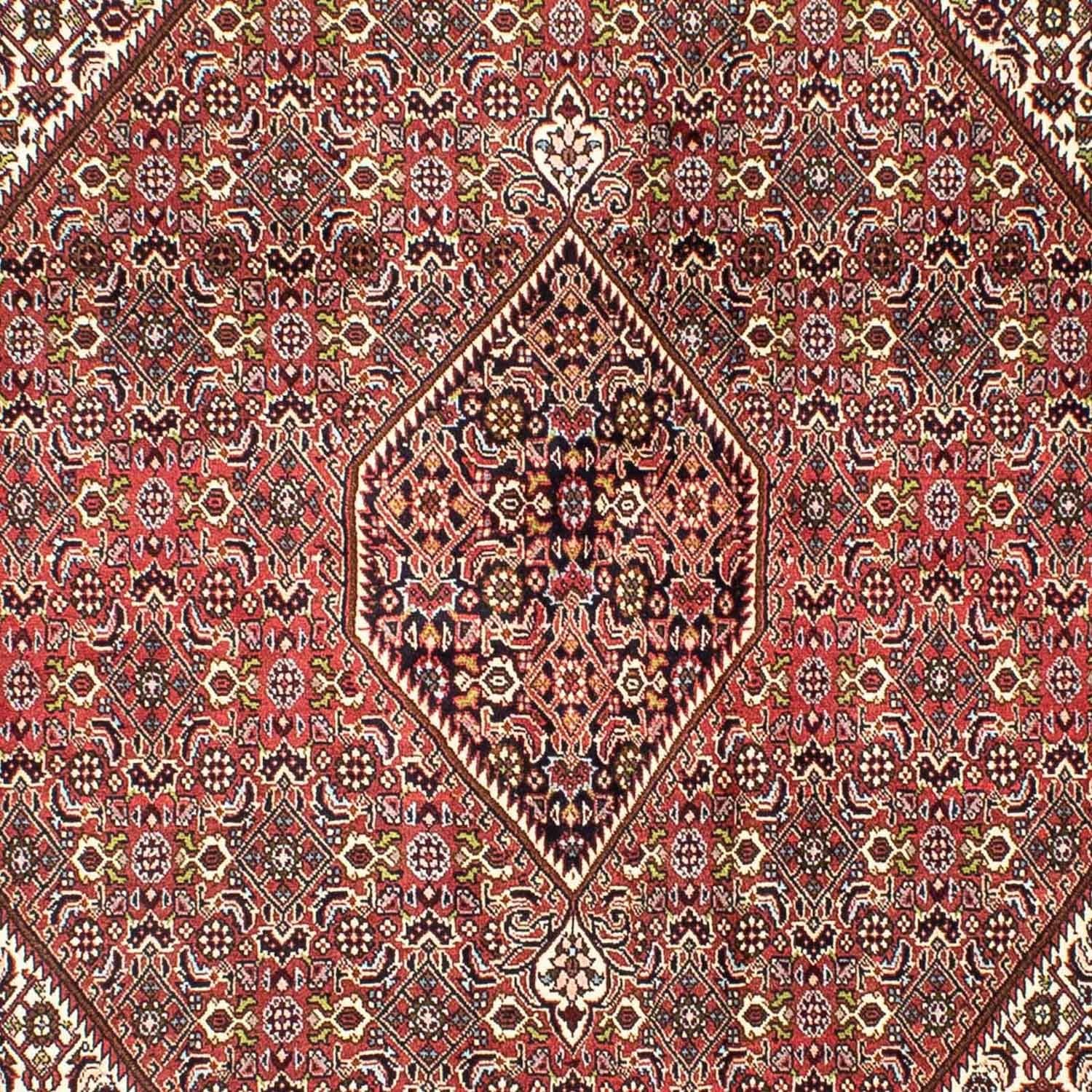 Perserteppich - Bidjar 251 x 174 cm
