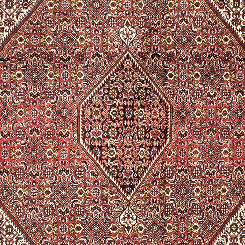 Perserteppich - Bidjar 251 x 174 cm