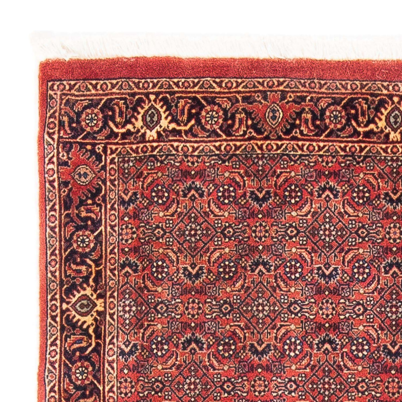 Bidjar Teppich 154x90cm - Perserteppich
