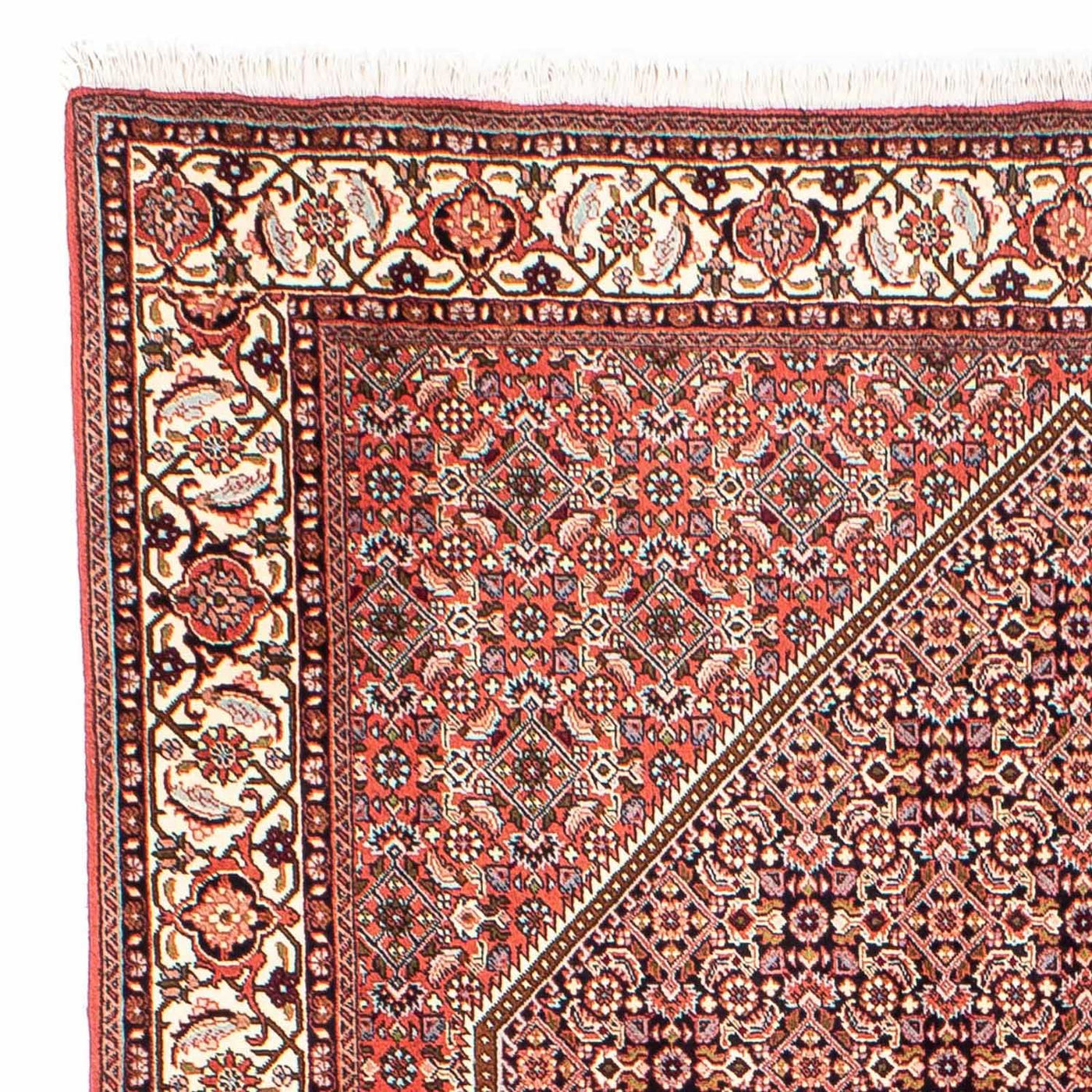 Bidjar Teppich 250x169cm - Perserteppich