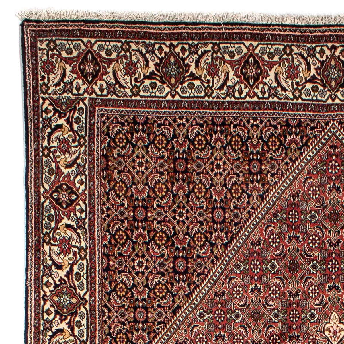 Bidjar Teppich 200x292cm - Perserteppich