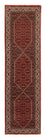 Perserteppich - Bidjar 310 x 83 cm - mehrfarbig