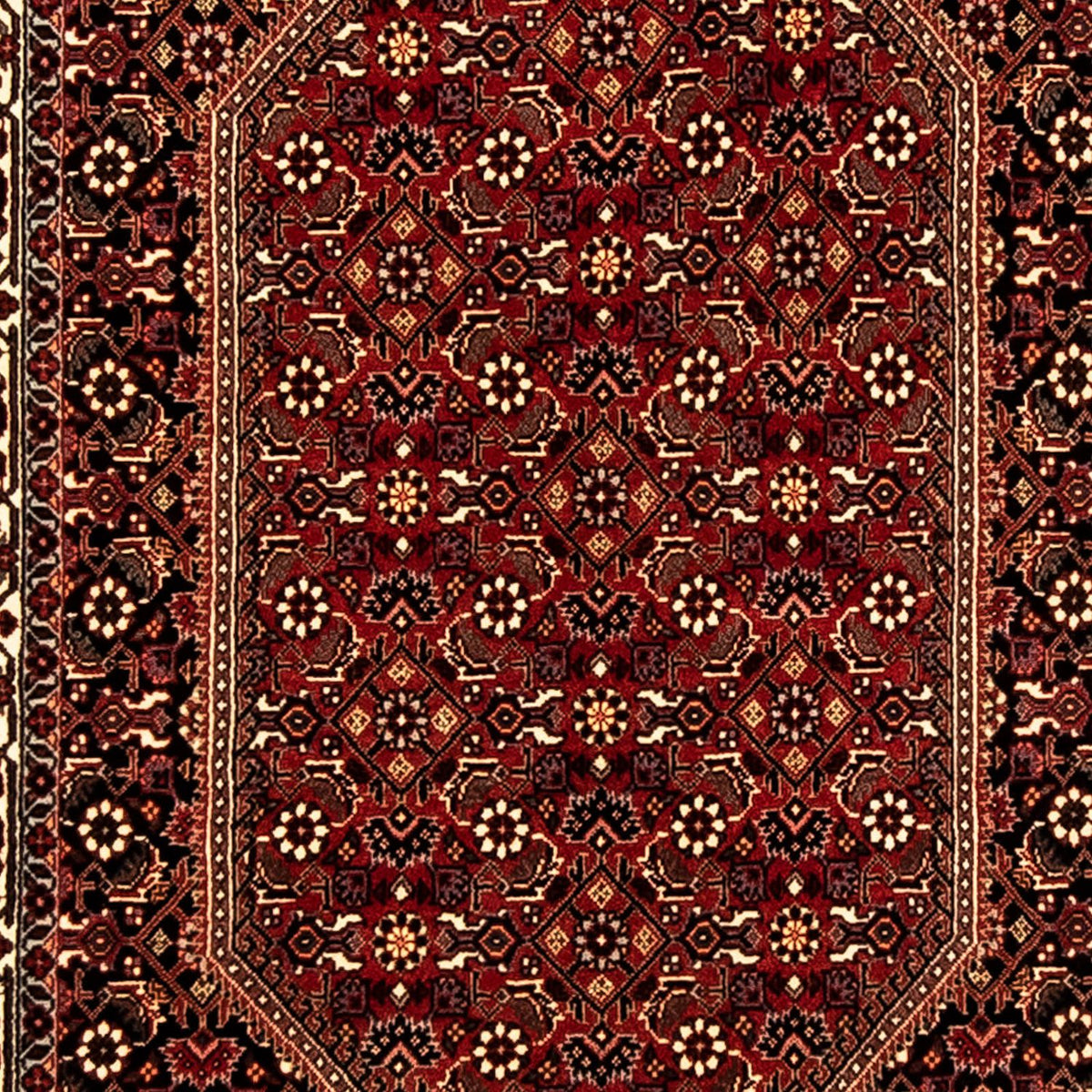 Perserteppich - Bidjar 310 x 83 cm - mehrfarbig