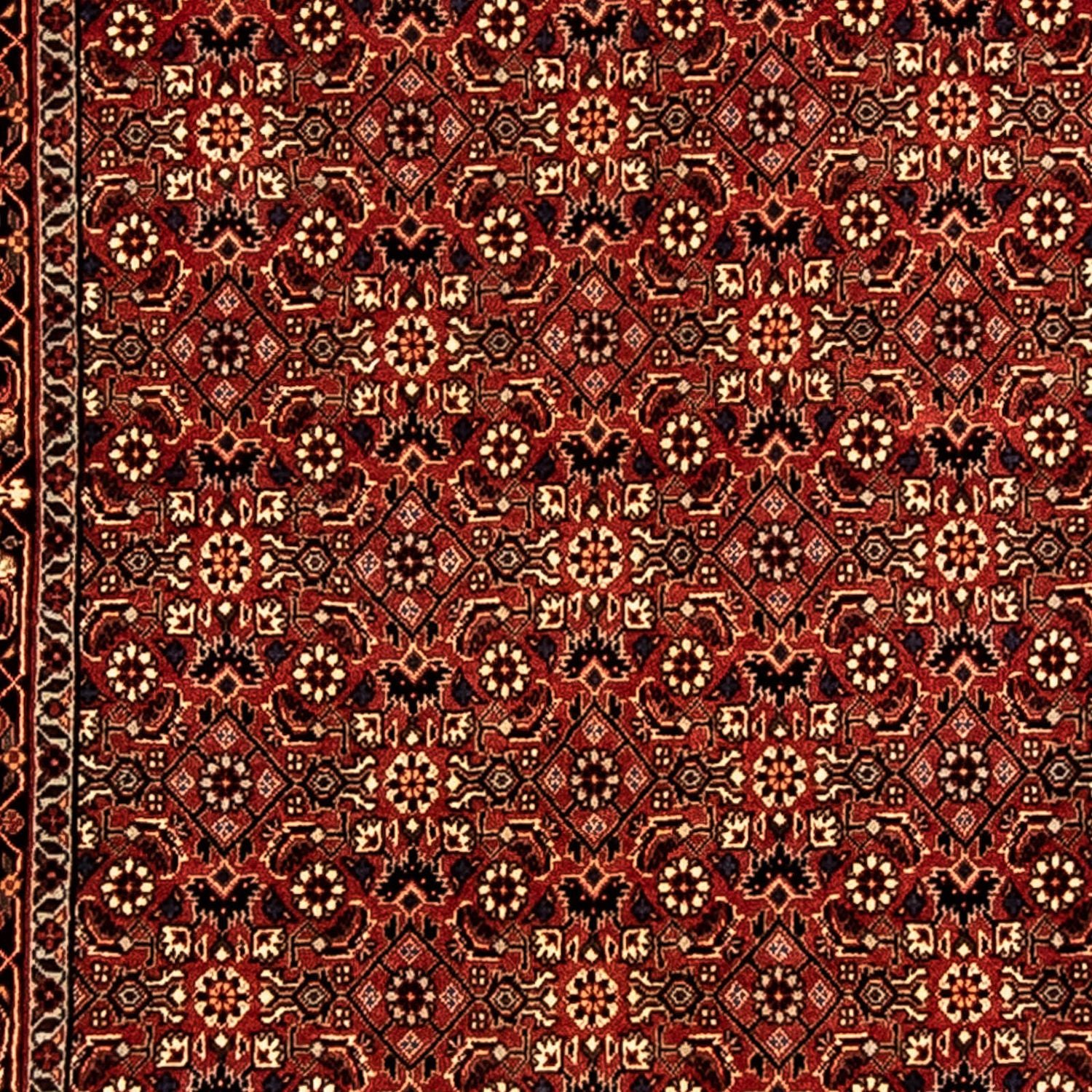 Perserteppich - Bidjar 296 x 81 cm