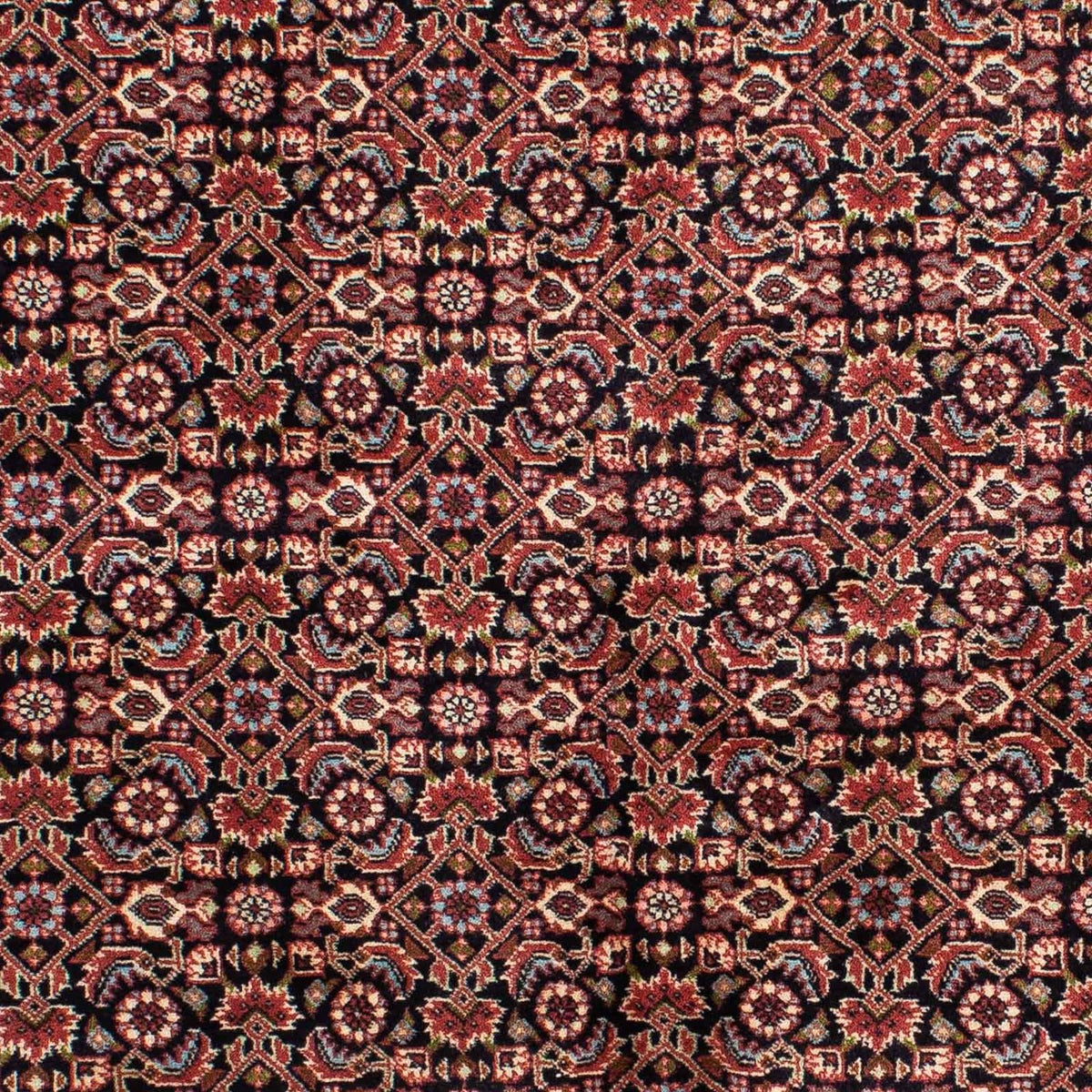 Perserteppich - Bidjar 213 x 141 cm