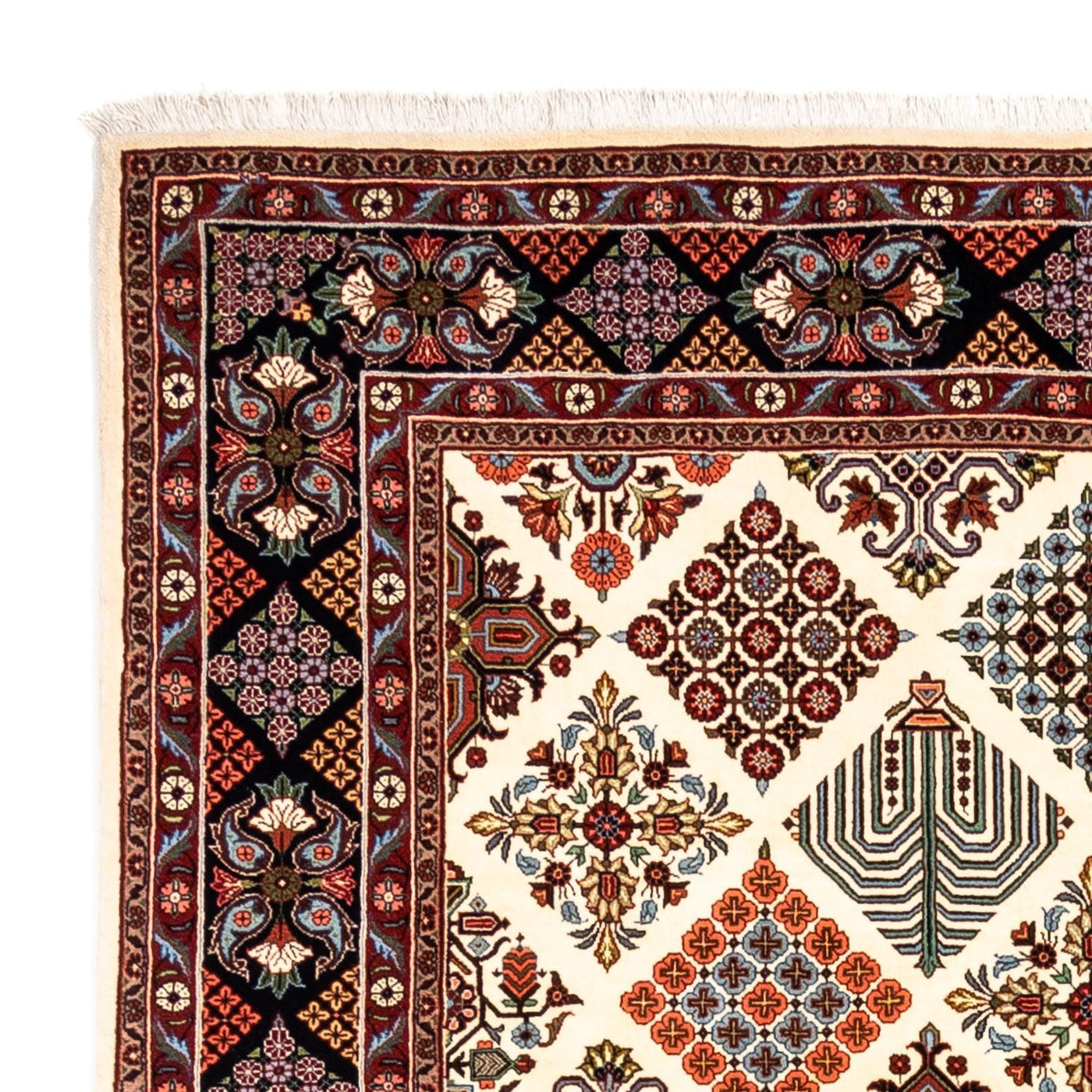 Bidjar - Takab Teppich 301x205cm - Perserteppich