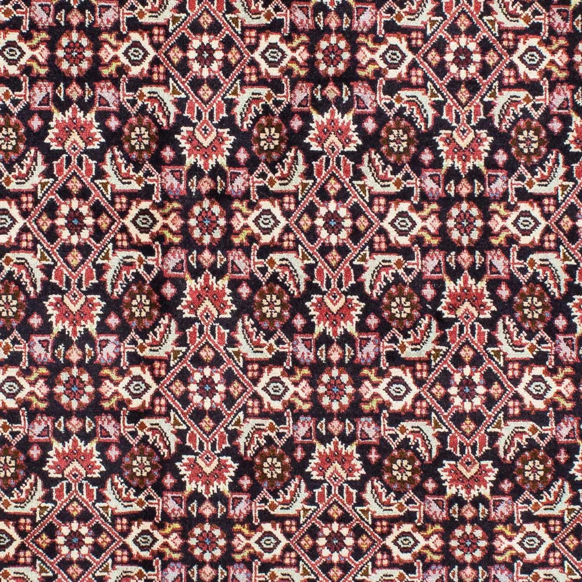 Perserteppich - Bidjar 220 x 136 cm