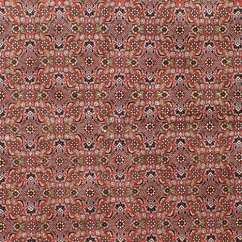 Perserteppich - Bidjar 251 x 172 cm