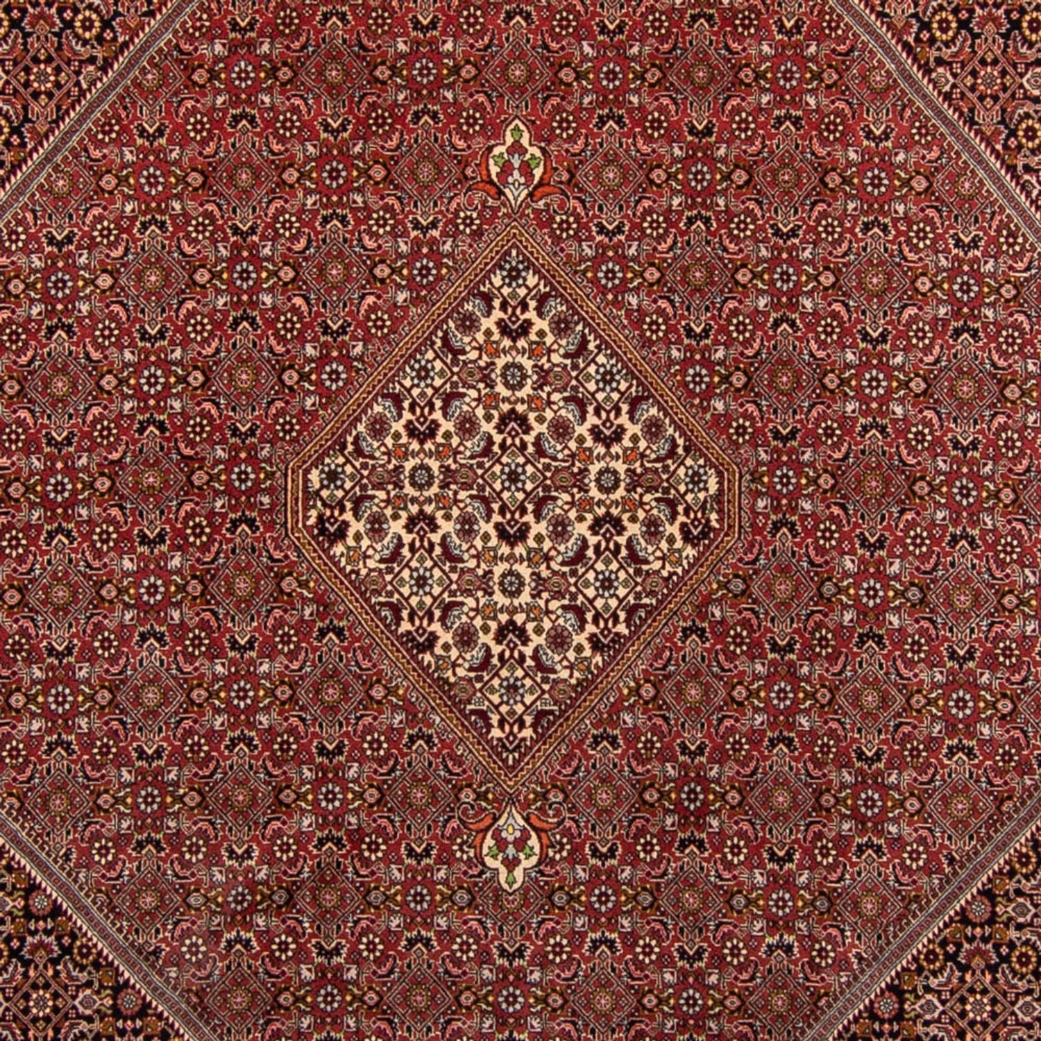 Perserteppich - Bidjar 338 x 250 cm