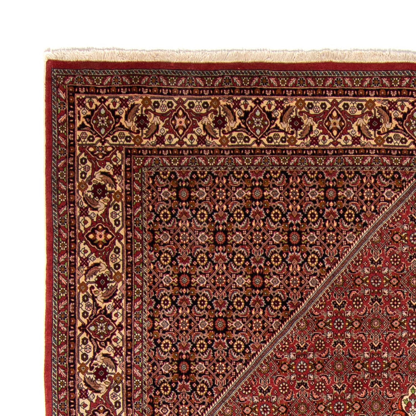 Bidjar Teppich 338x250cm - Perserteppich