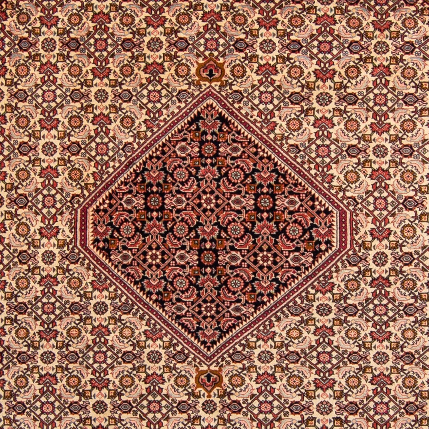 Perserteppich - Bidjar 330 x 247 cm