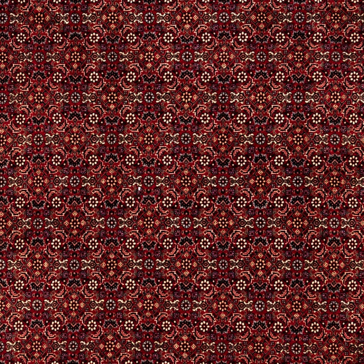 Perserteppich - Bidjar 350 x 250 cm - rot