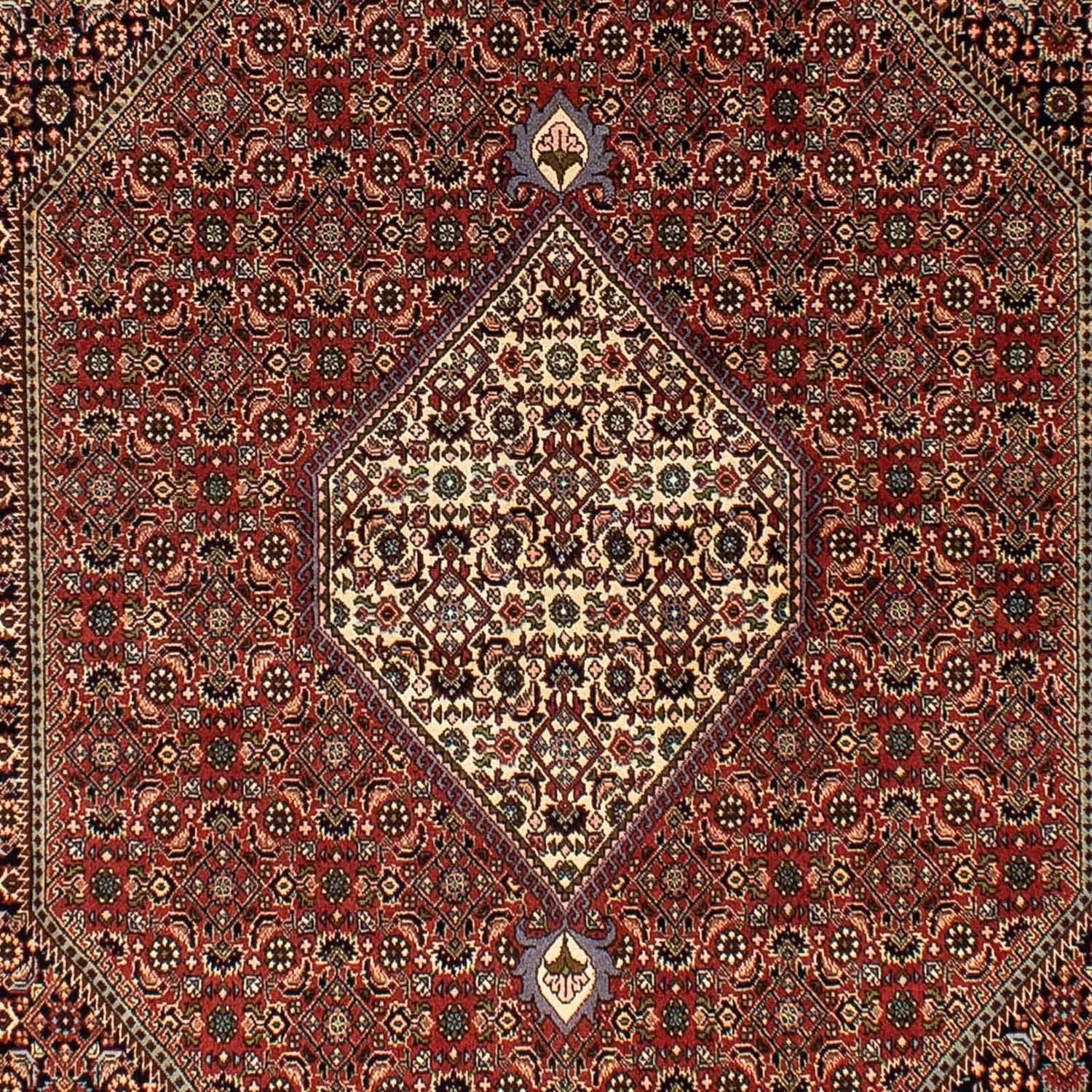 Perserteppich - Bidjar 250 x 173 cm