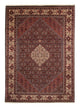 Bidjar Teppich 243x348cm - Perserteppich
