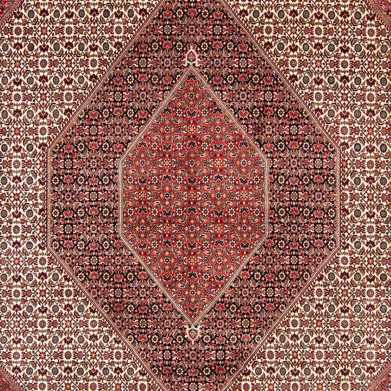Perserteppich - Bidjar 404 x 298 cm