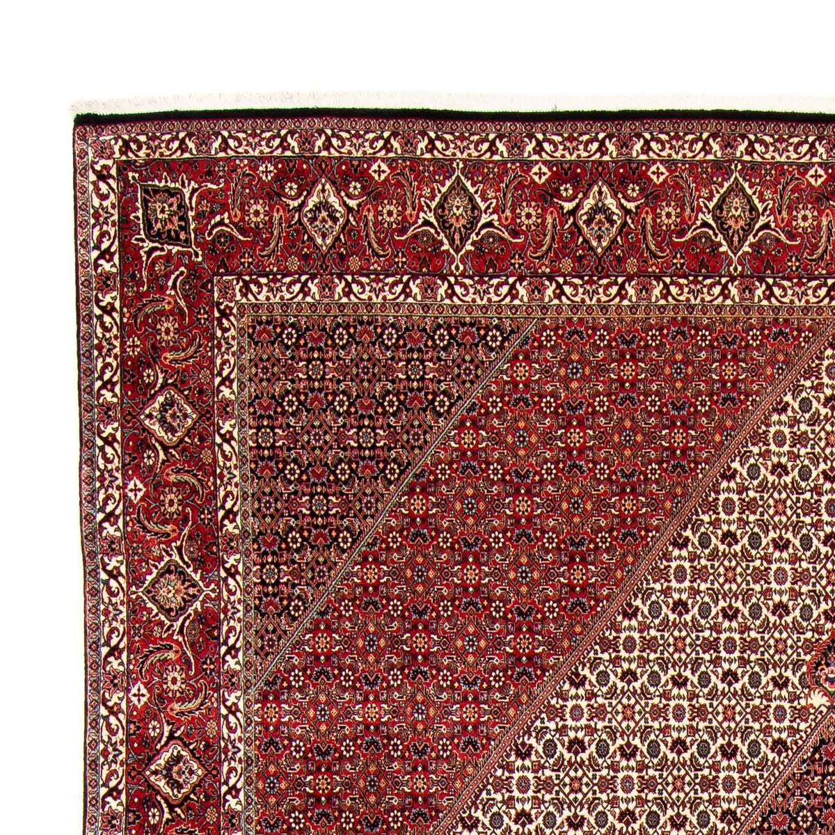 Bidjar Teppich 298x404cm - Perserteppich