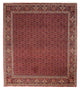 Bidjar Teppich 288x256cm - Perserteppich