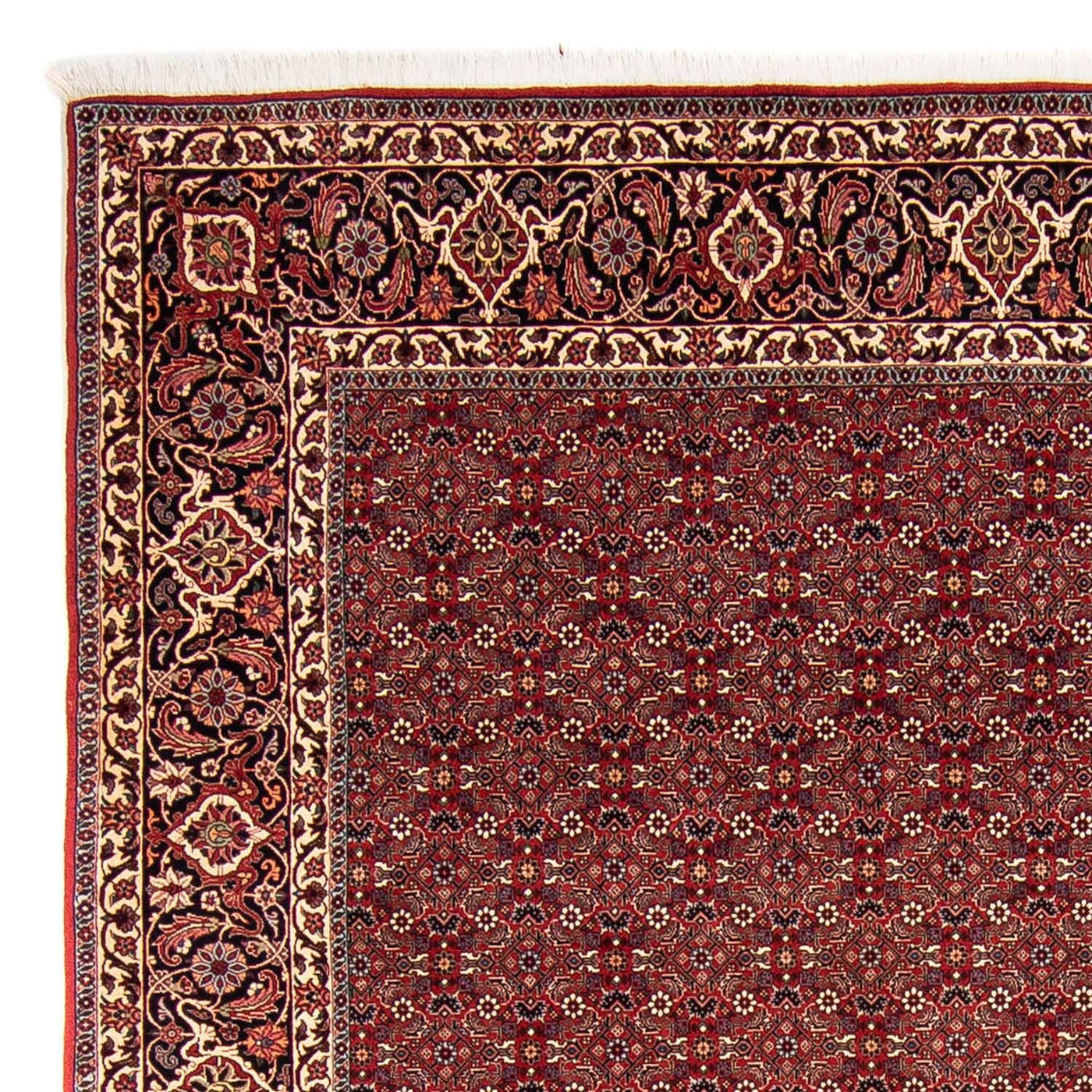 Bidjar Teppich 288x256cm - Perserteppich