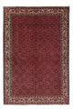 Bidjar Teppich 243x172cm - Perserteppich