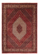 Bidjar Teppich 248x171cm - Perserteppich