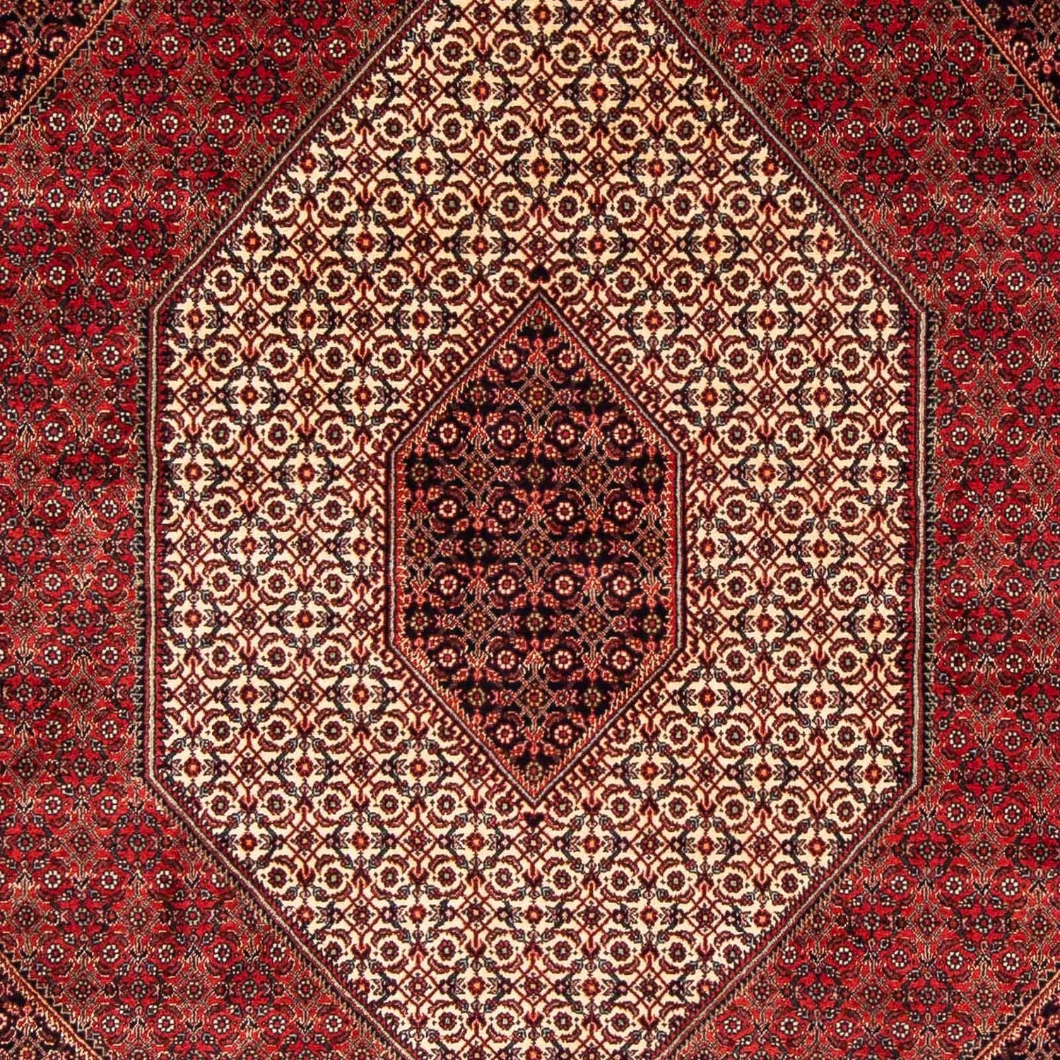 Perserteppich - Bidjar 248 x 171 cm