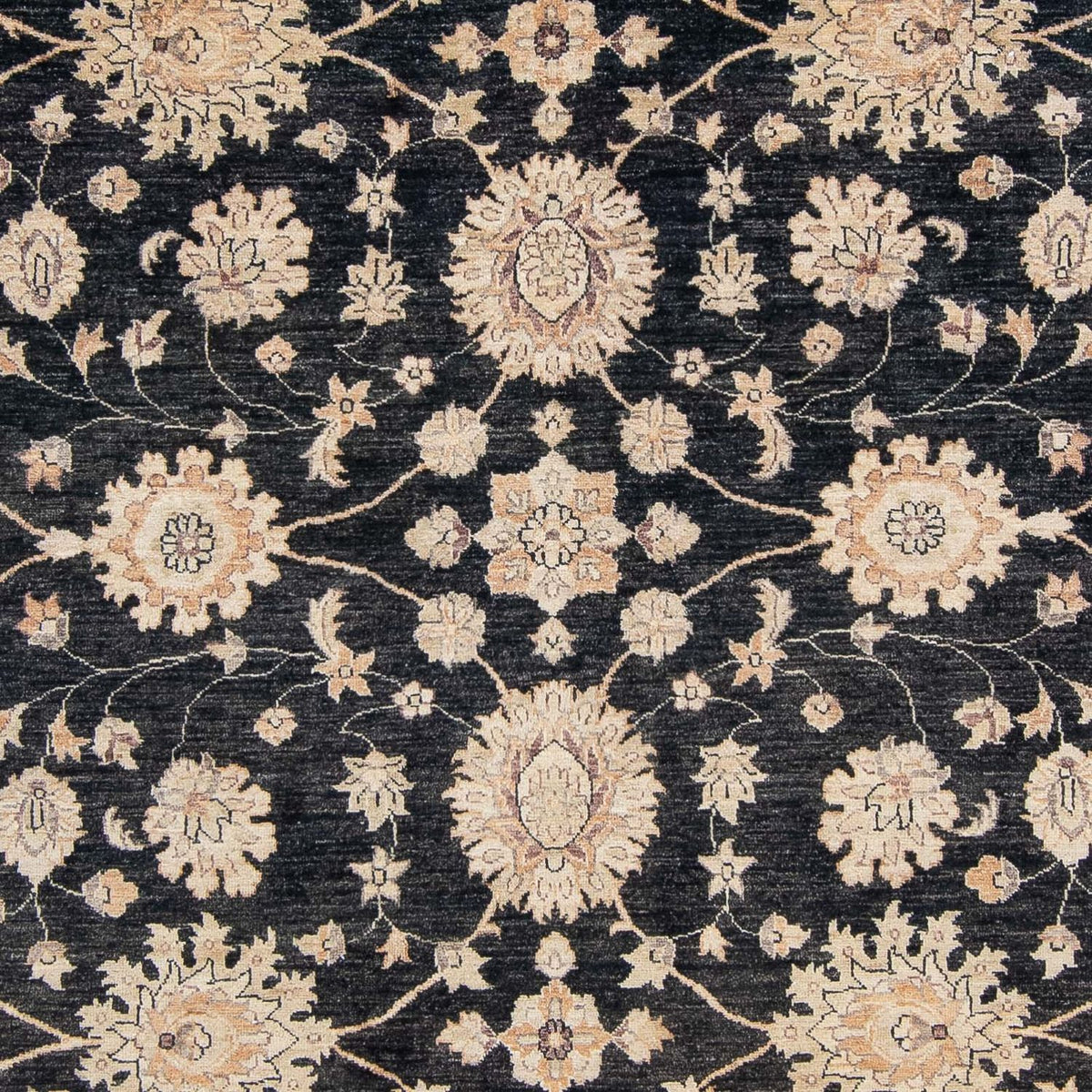 Ziegler Teppich 300 x 247 cm