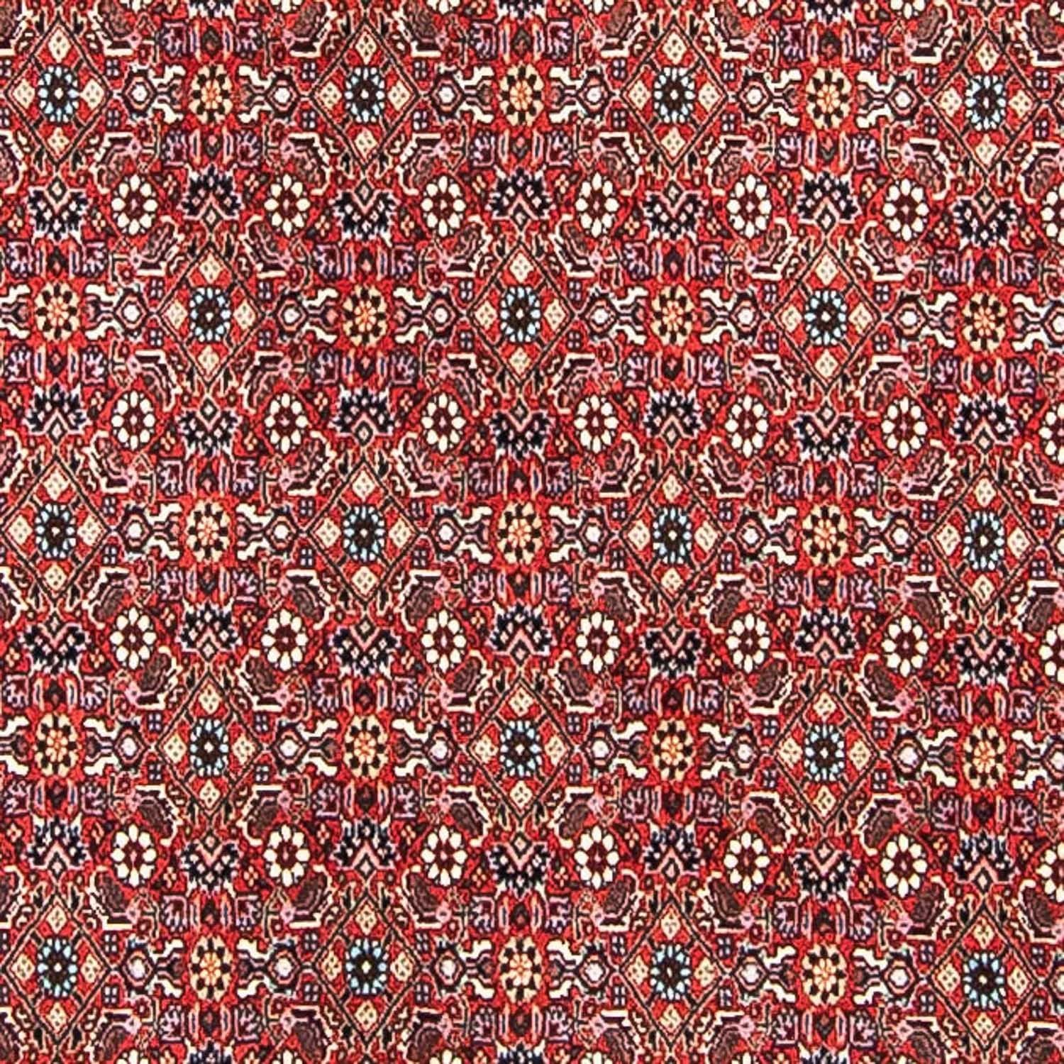 Perserteppich - Bidjar 297 x 249 cm