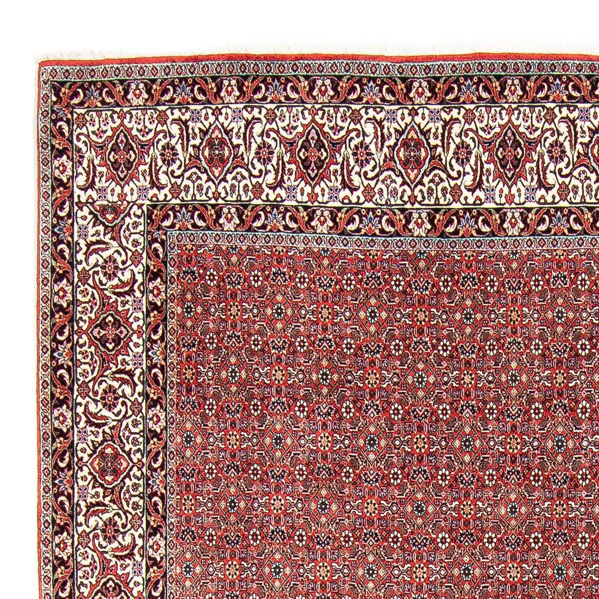 Bidjar Teppich 249x297cm - Perserteppich