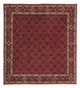 Bidjar Teppich 212x206cm - Perserteppich