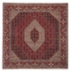 Bidjar Teppich 250x250cm - Perserteppich