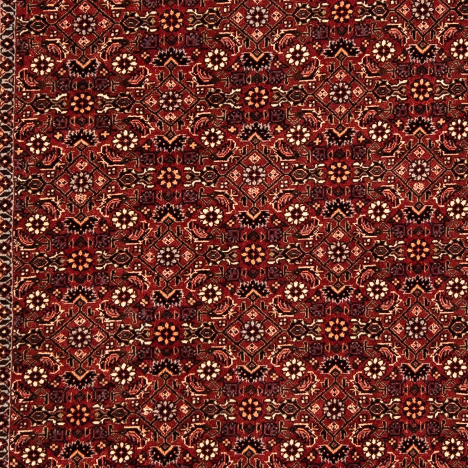 Perserteppich - Bidjar 304 x 86 cm