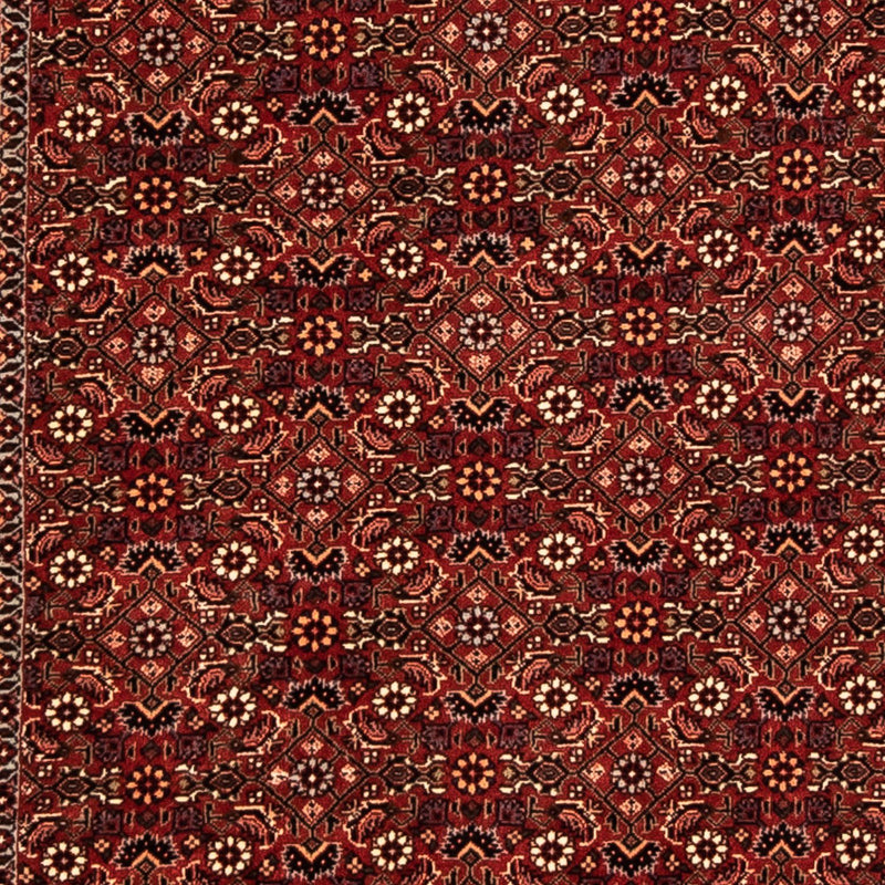 Perserteppich - Bidjar 304 x 86 cm