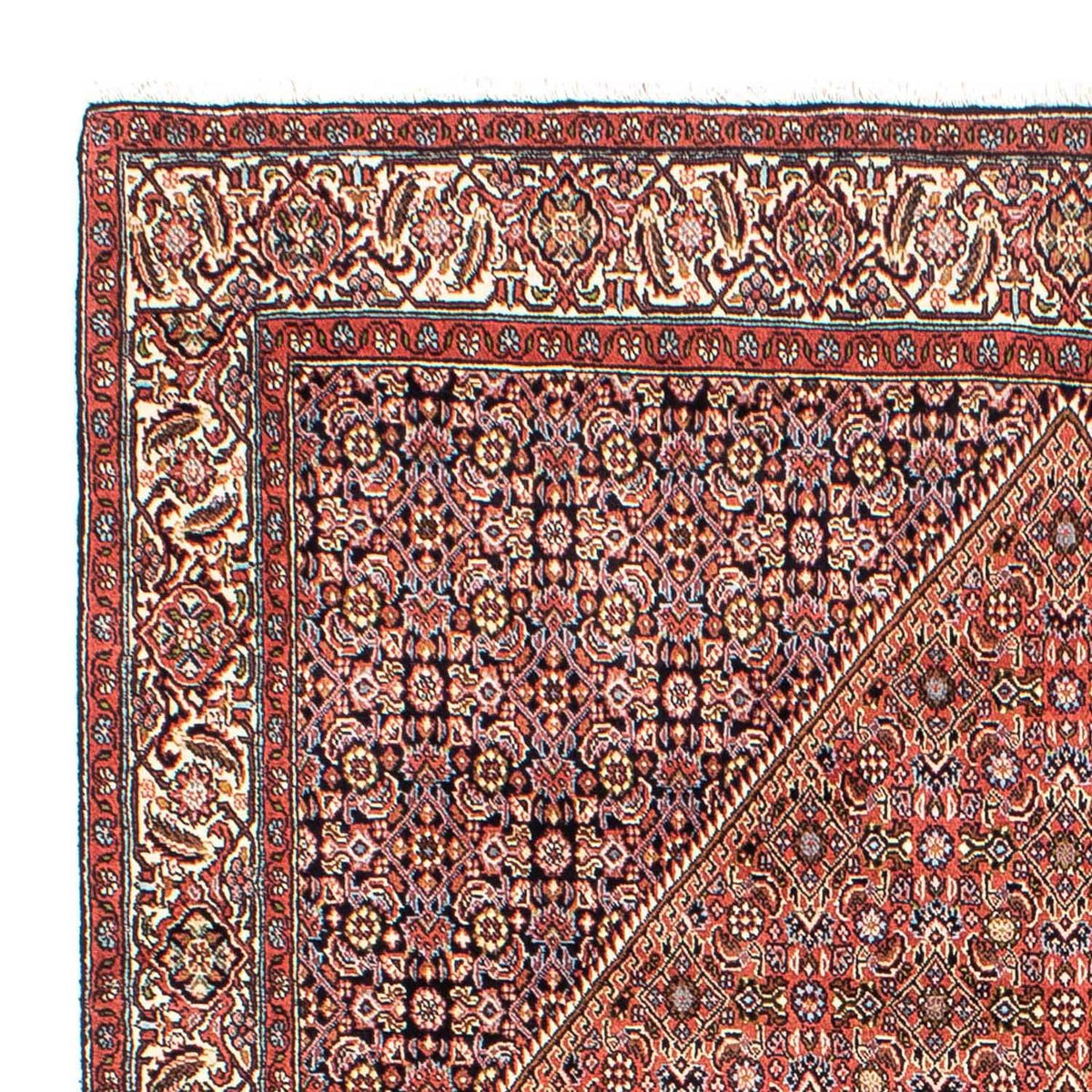 Bidjar Teppich 165x268cm - Perserteppich