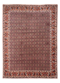Perserteppich - Bidjar - Royal 332 x 248 cm - rost