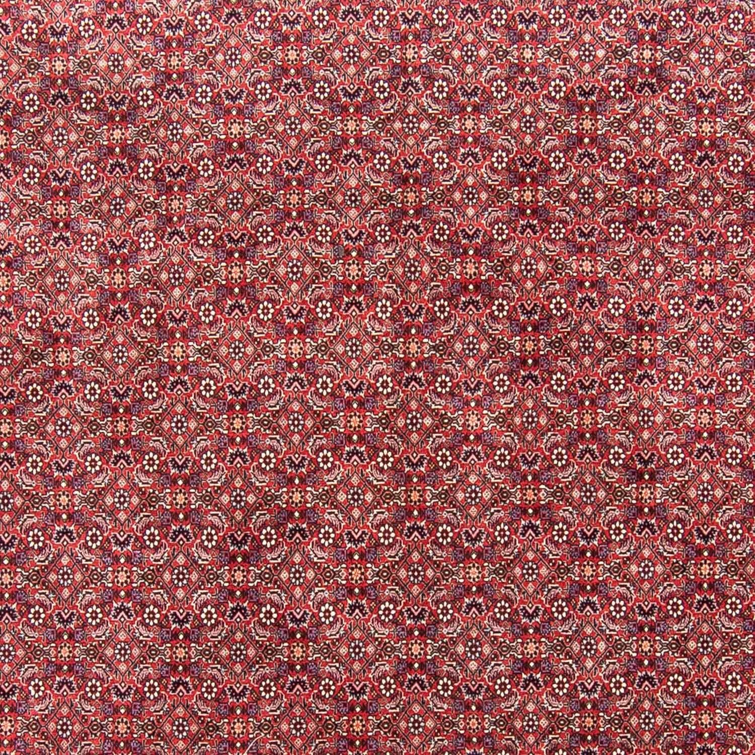 Perserteppich - Bidjar 343 x 251 cm Wohnzimmer Teppich