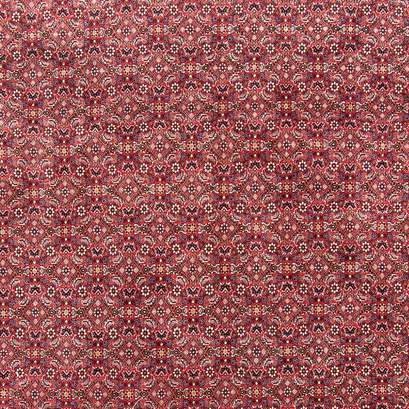 Perserteppich - Bidjar 343 x 251 cm Wohnzimmer Teppich