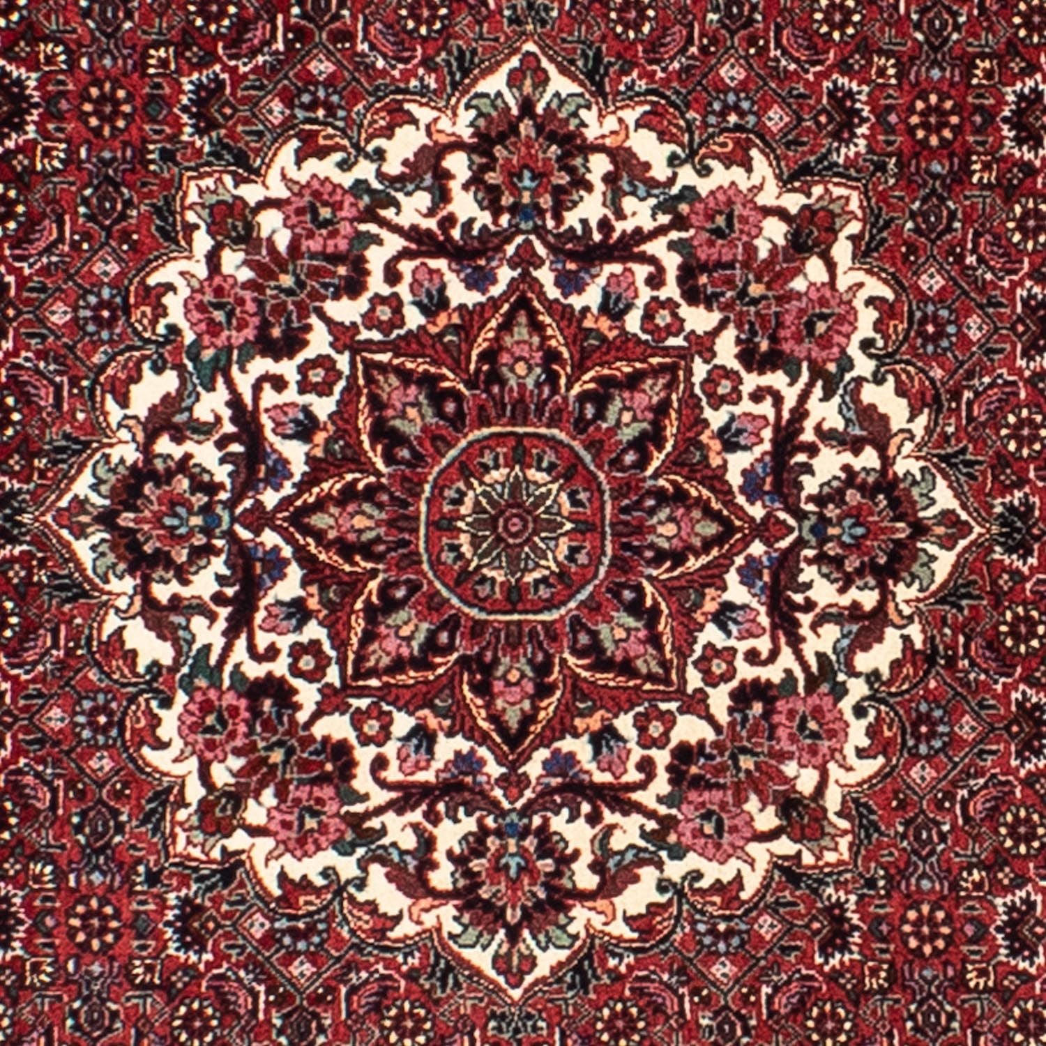 Perserteppich - Bidjar 150 x 150 cm - dunkelrot