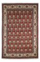 Kaschkuli Teppich 261x175cm - Perserteppich