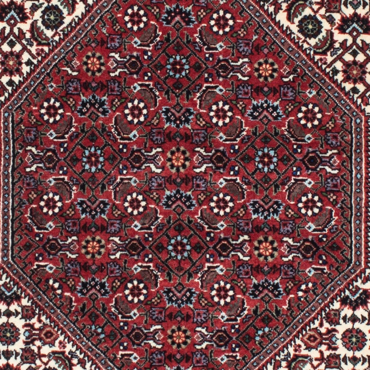 Perserteppich - Bidjar 218 x 76 cm