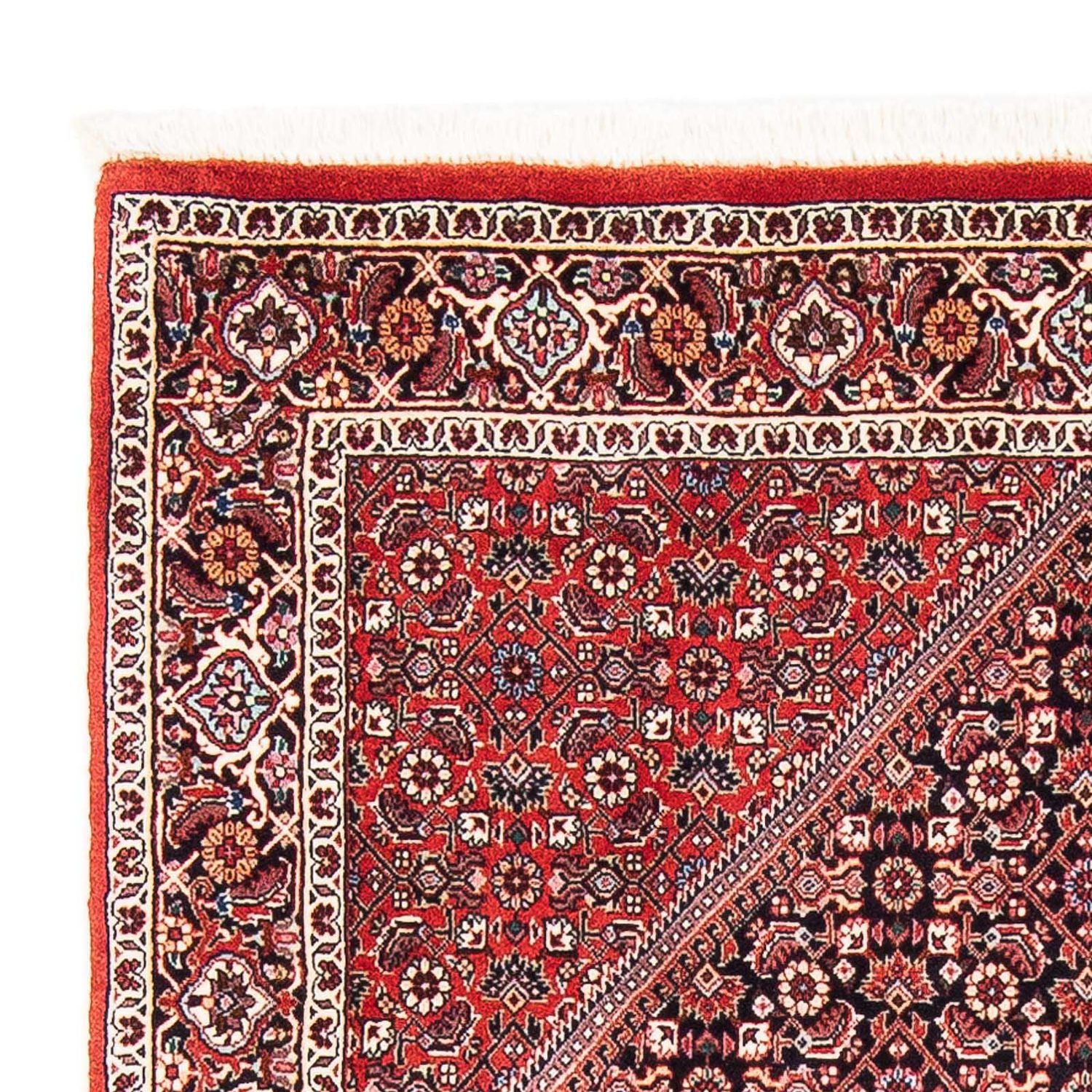 Perserteppich - Bidjar - Royal 173 x 109 cm