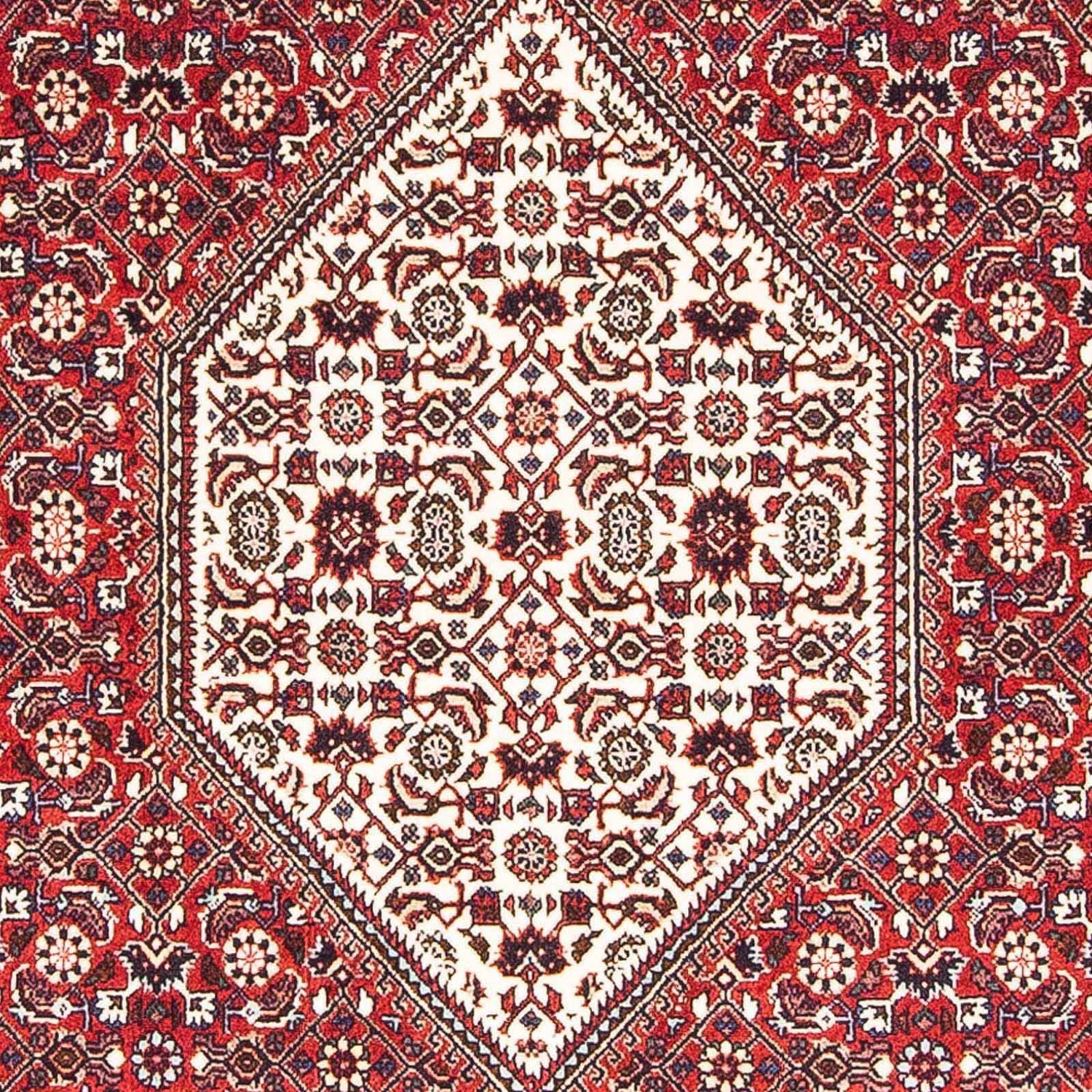 Perserteppich - Bidjar - Royal 172 x 110 cm