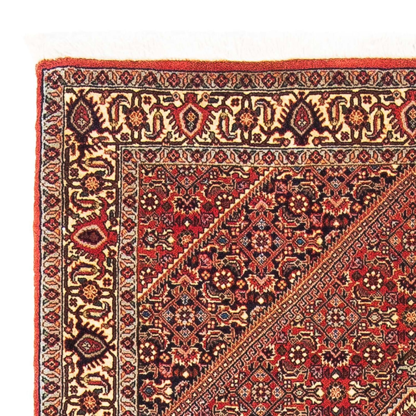 Bidjar Teppich 153x89cm - Perserteppich