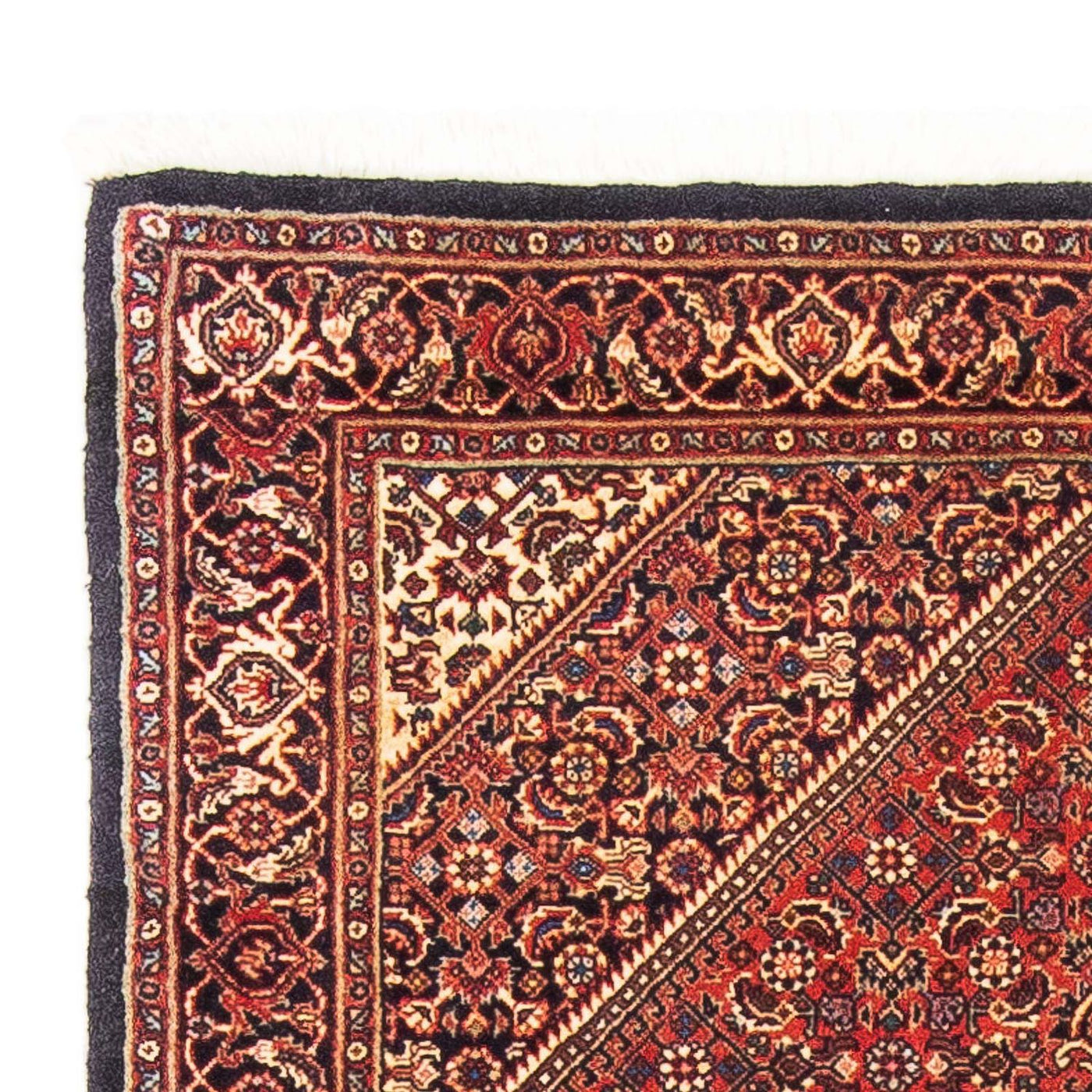 Bidjar Teppich 153x92cm - Perserteppich