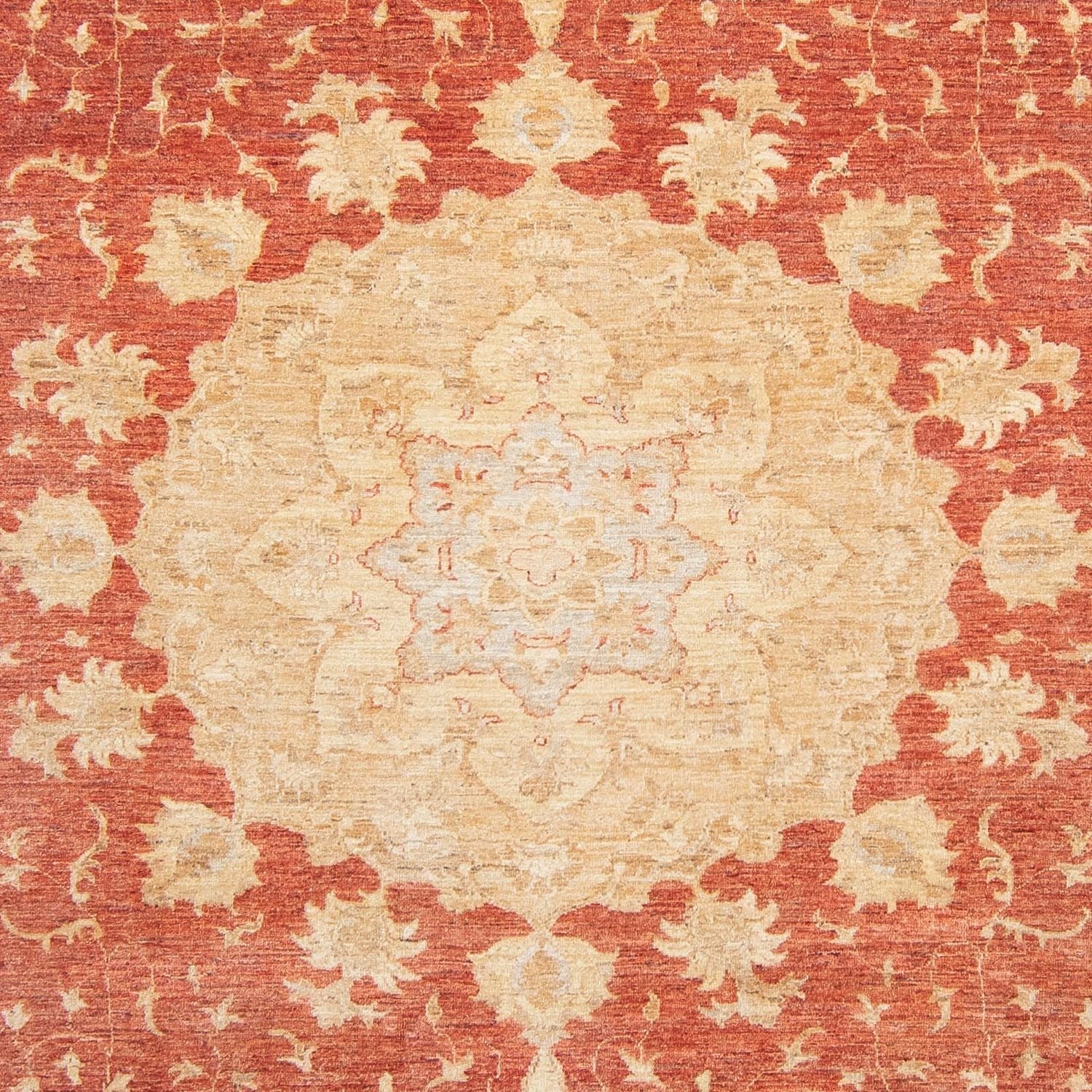 Ziegler Teppich 355 x 271 cm