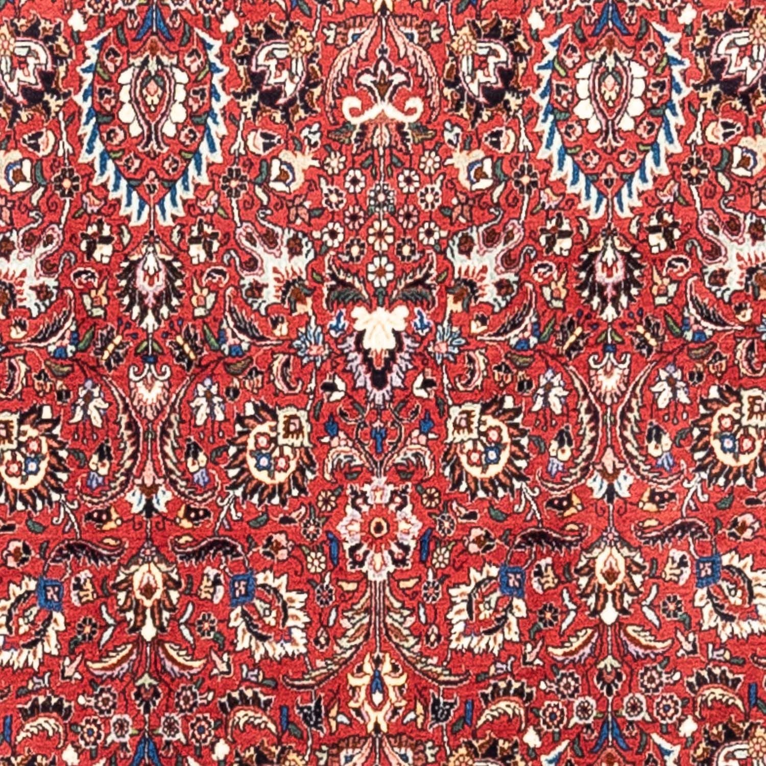 Perserteppich - Bidjar - Royal 346 x 250 cm
